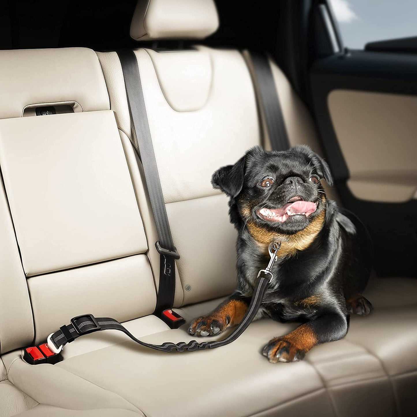 Dog Seat Belt with Elastic Bungee Buffer | Adjustable Car Travel Accessory (Black)
