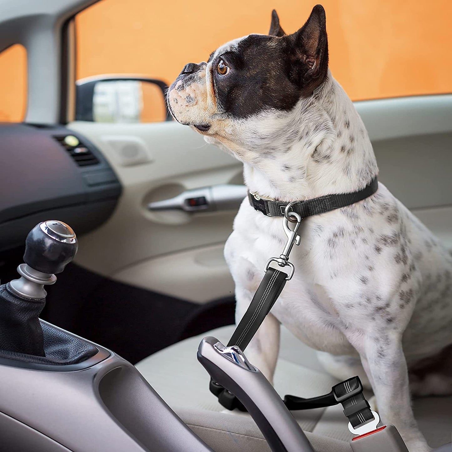 Dog Seat Belt with Elastic Bungee Buffer | Adjustable Car Travel Accessory (Black)
