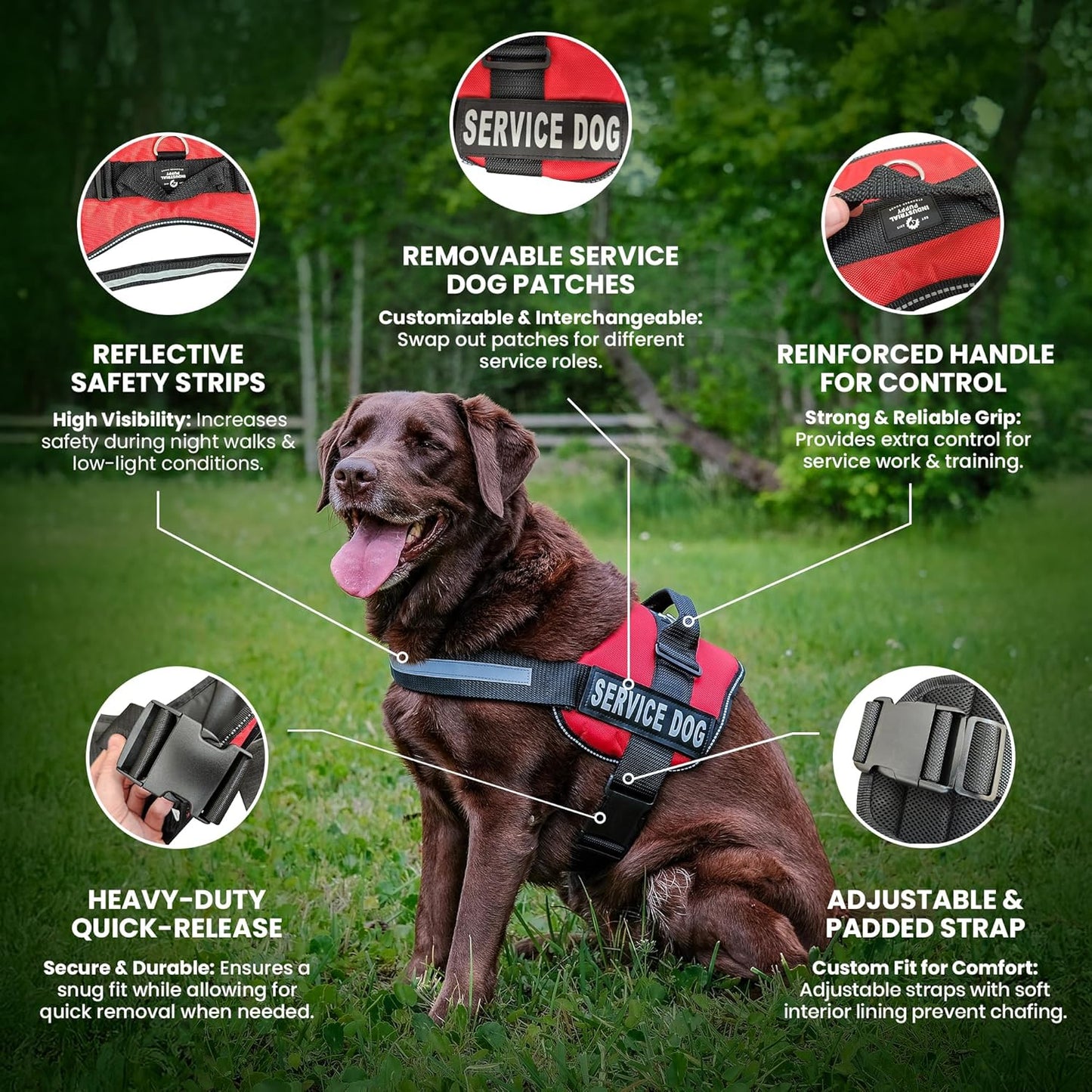 Professional Service Dog Vest and Leash Set - Adjustable Harnesses (XXS to XXL) with Reflective Patch and Breathable Mesh Design (Red, Small)