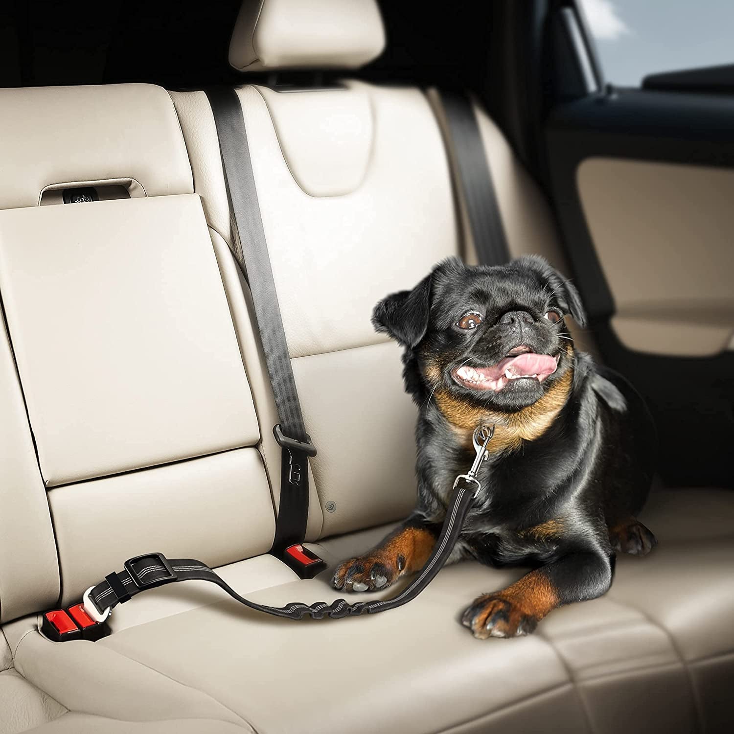 Dog Seat Belt with Elastic Bungee Buffer | Adjustable Car Travel Accessory (Black)