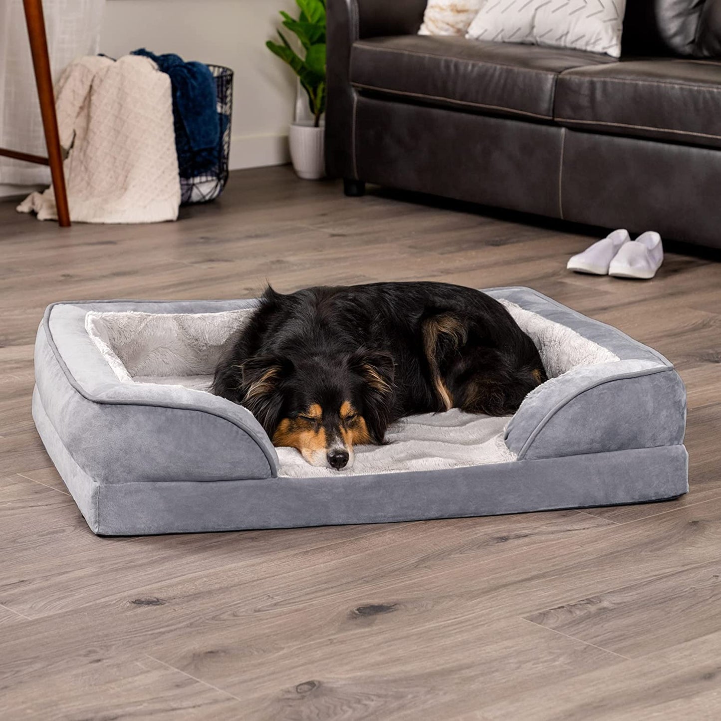 Orthopedic Foam Dog Bed with Washable Velvet Cover - Granite Gray, Large (for dogs up to 55 lbs)