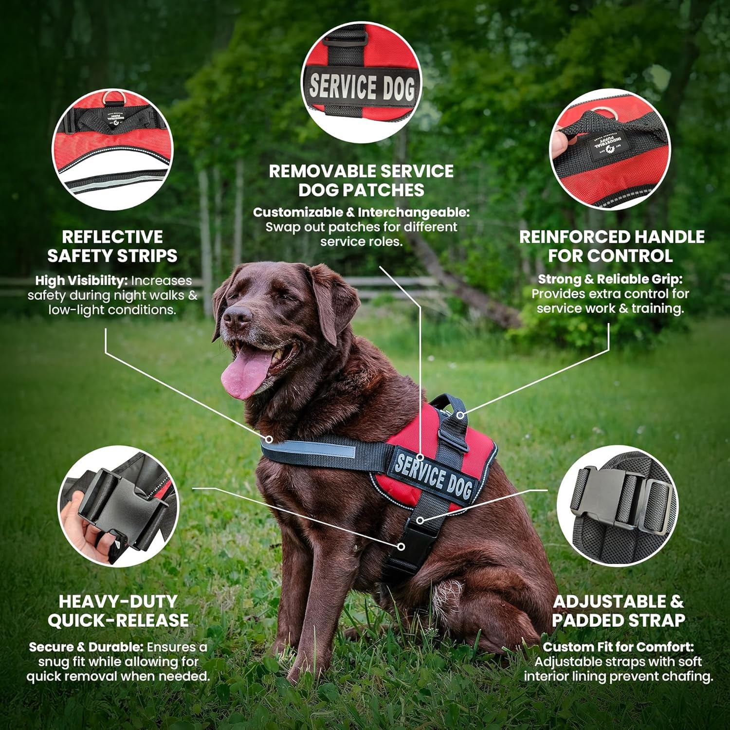 Professional Service Dog Vest and Leash Set - Adjustable Harnesses (XXS to XXL) with Reflective Patch and Breathable Mesh Design (Red, Small)