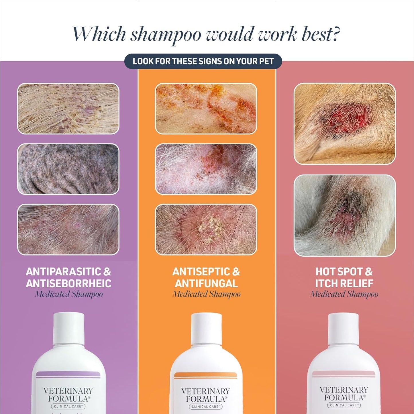 Clinical Care Antiseptic and Antifungal Medicated Shampoo for Dogs and Cats, 16 Fl Oz – Soothes Scaly, Oily, Red Skin – Paraben, Dye, and Soap-Free (Single Pack)
