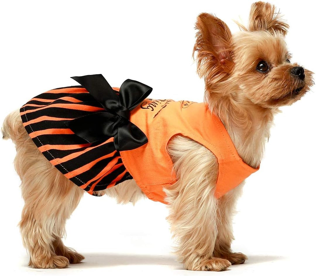Halloween-Themed Dog Dresses and Cat Outfits, Medium Size, Orange