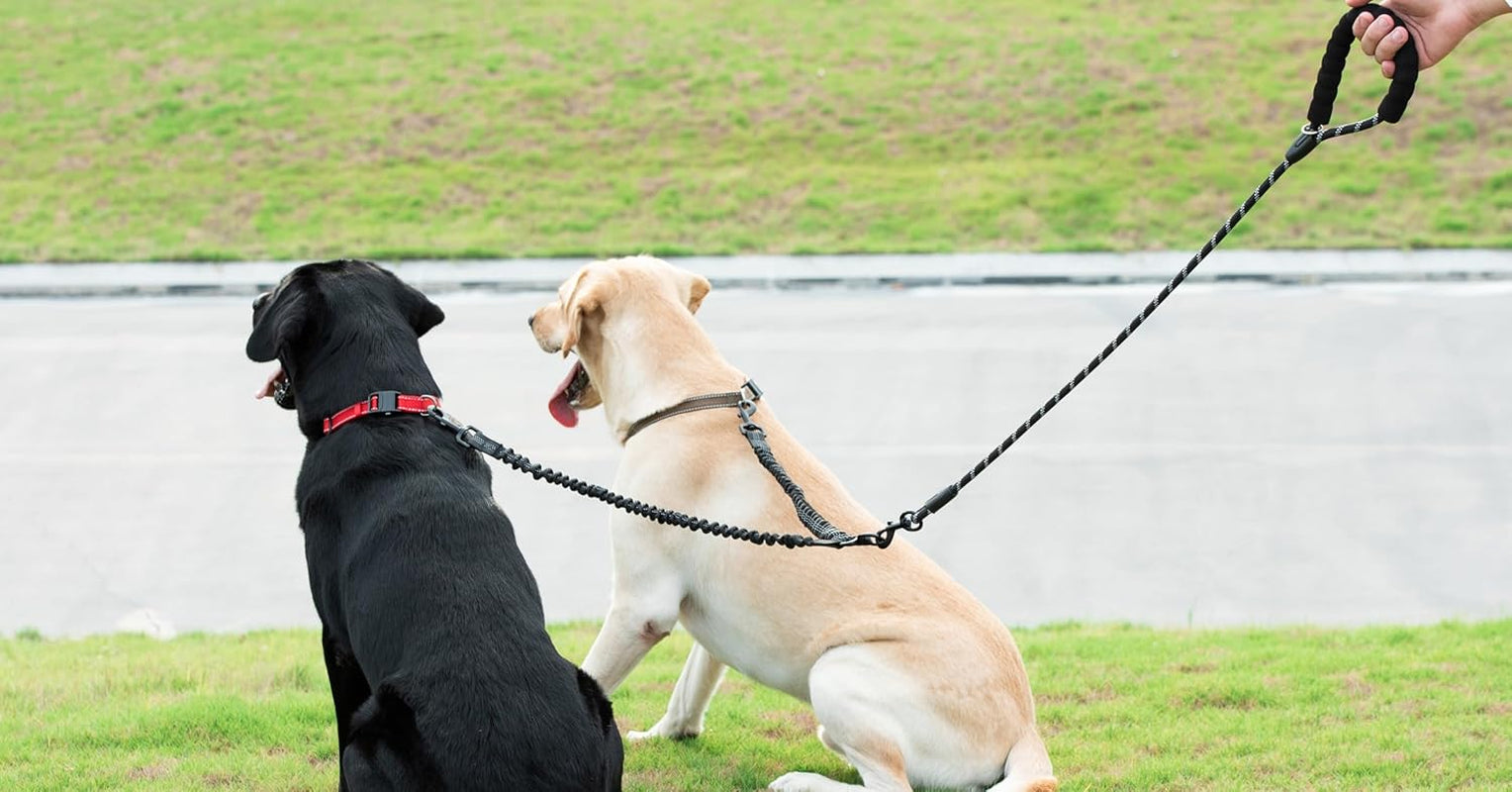 Dual Dog Leash with 360° Swivel and Shock Absorbing Bungee for Tangle-Free Walking of Two Dogs (Large, 25-150 lbs, Black)