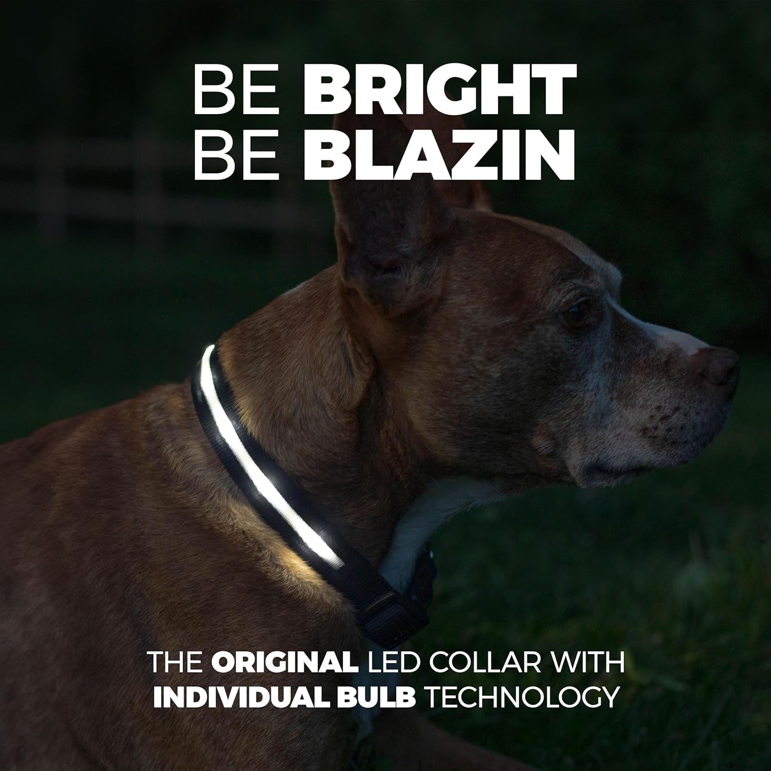 LED Dog Collar - Original USB Rechargeable, Waterproof Design with 1,000 Feet Visibility - Suitable for Small, Medium, and Large Dogs - US Brand