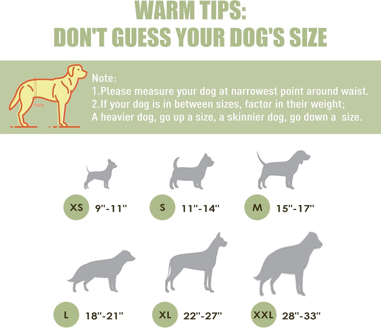 Reusable Male Dog Diapers - Set of 3 Washable Belly Wraps (Small - 11" to 14" Waist)