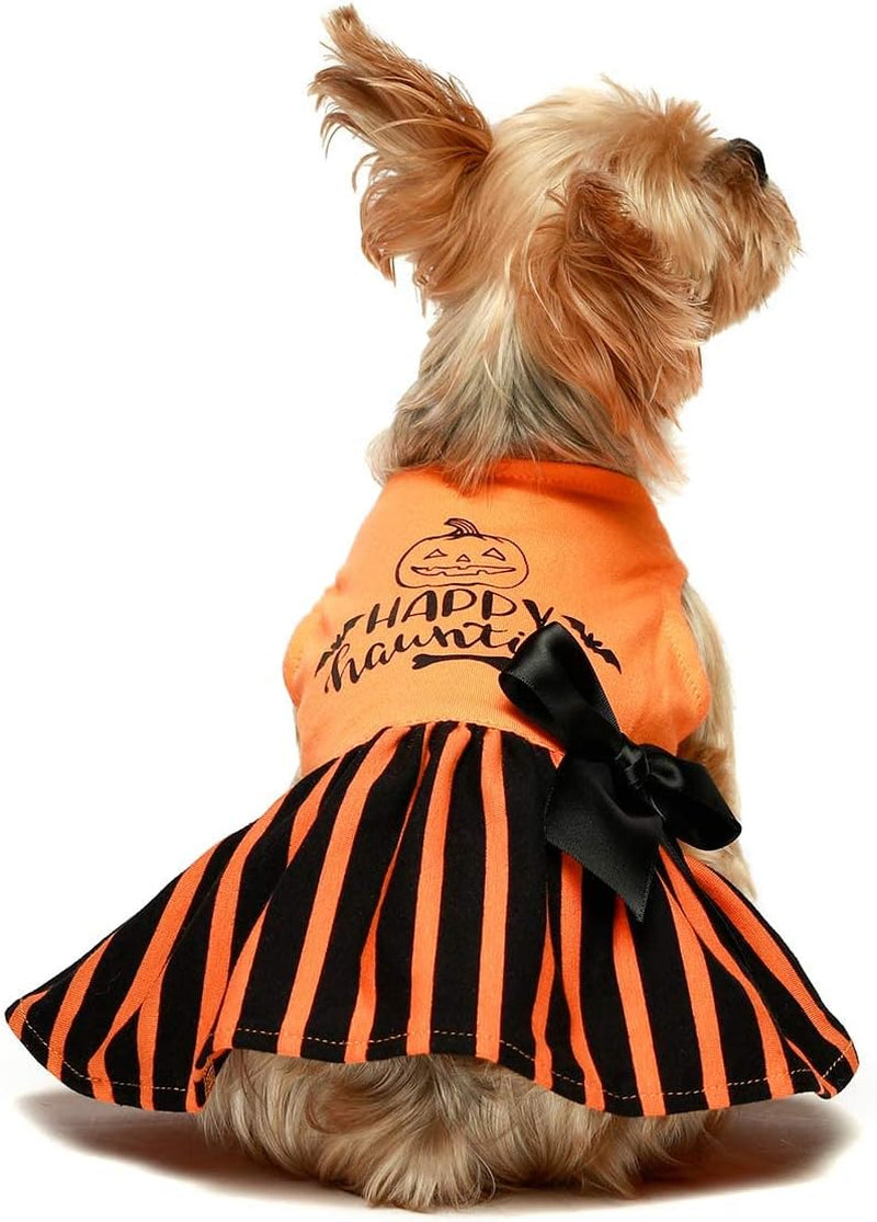 Halloween-Themed Dog Dresses and Cat Outfits, Medium Size, Orange