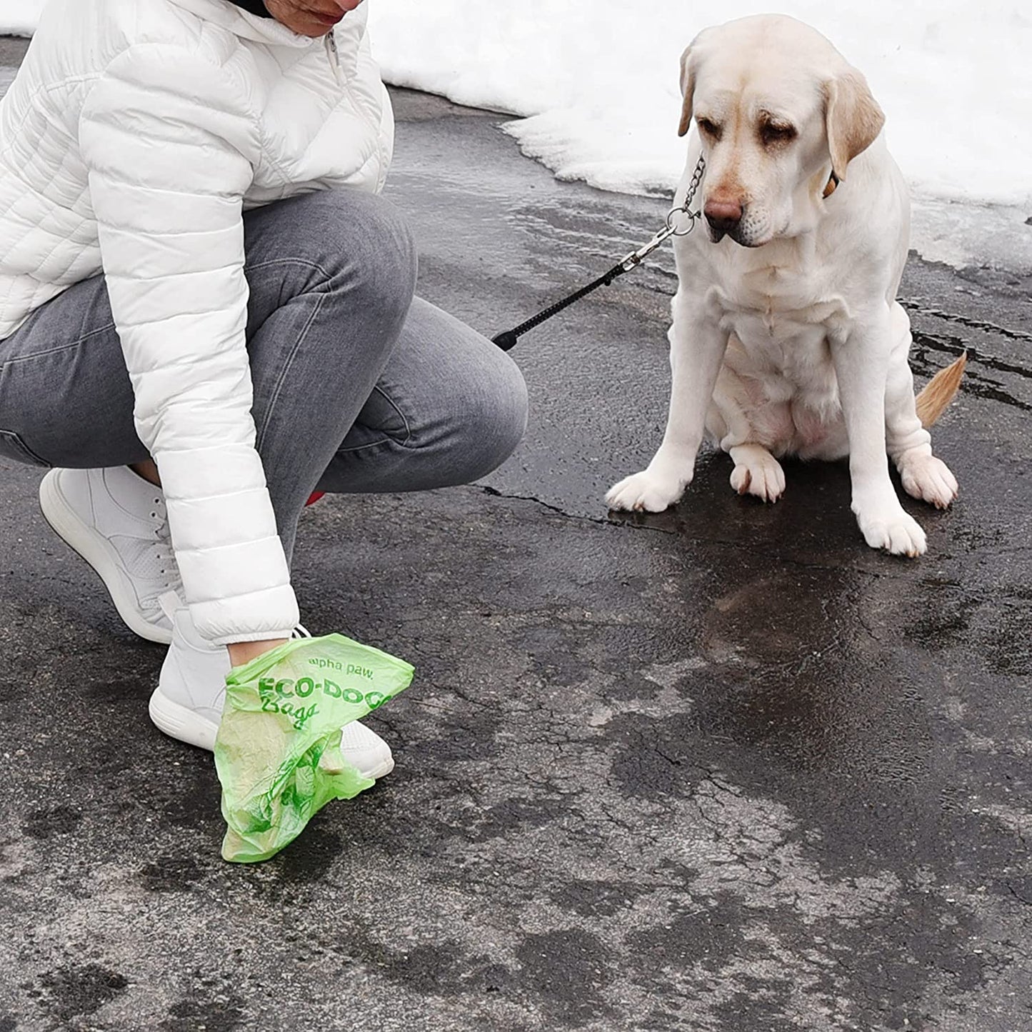 Eco-Friendly Dog Waste Bags with Portable Dispenser - 60 Biodegradable and Odor-Blocking Lavender-Scented Poop Bags - Compostable Puppy Accessories