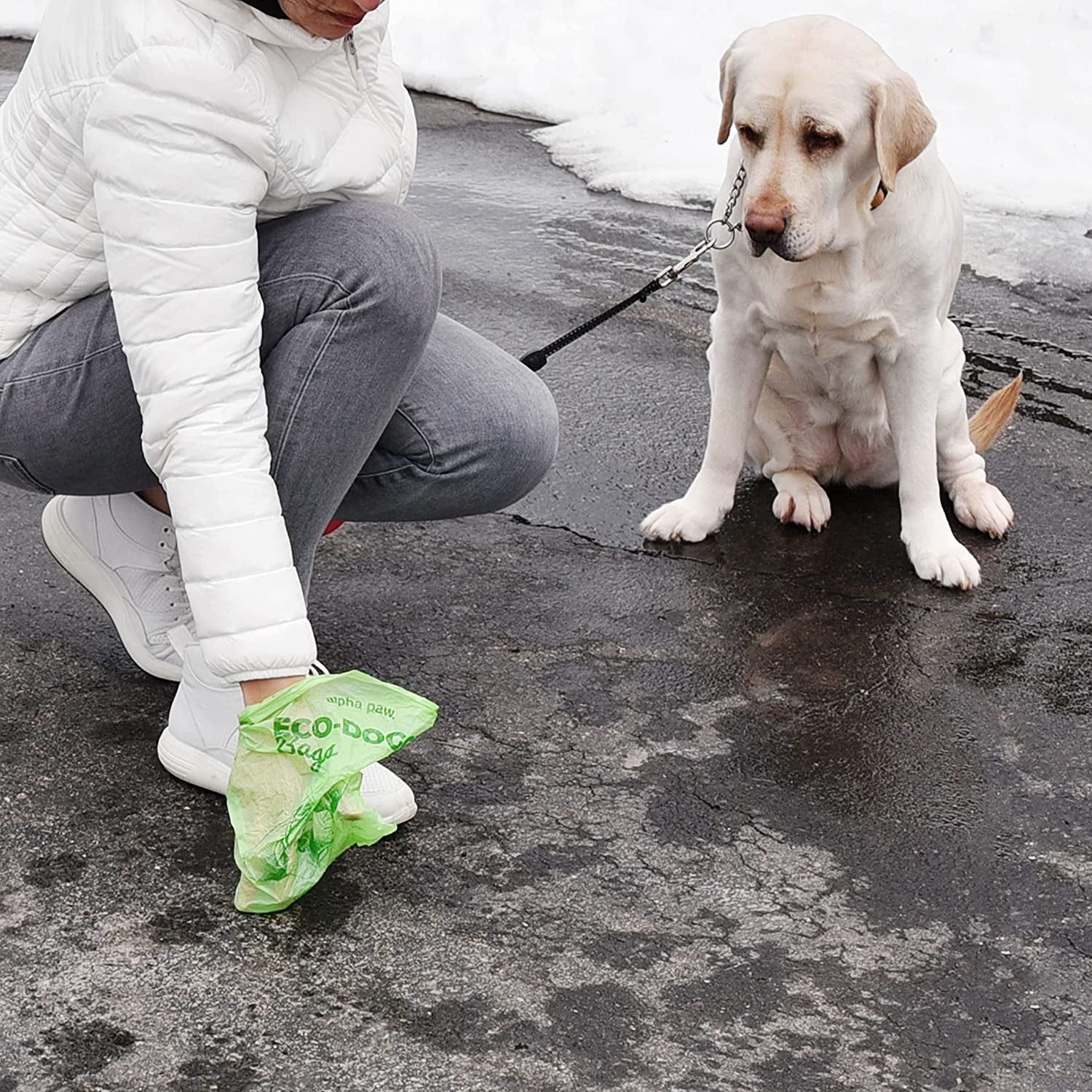 Eco-Friendly Dog Waste Bags with Portable Dispenser - 60 Biodegradable and Odor-Blocking Lavender-Scented Poop Bags - Compostable Puppy Accessories