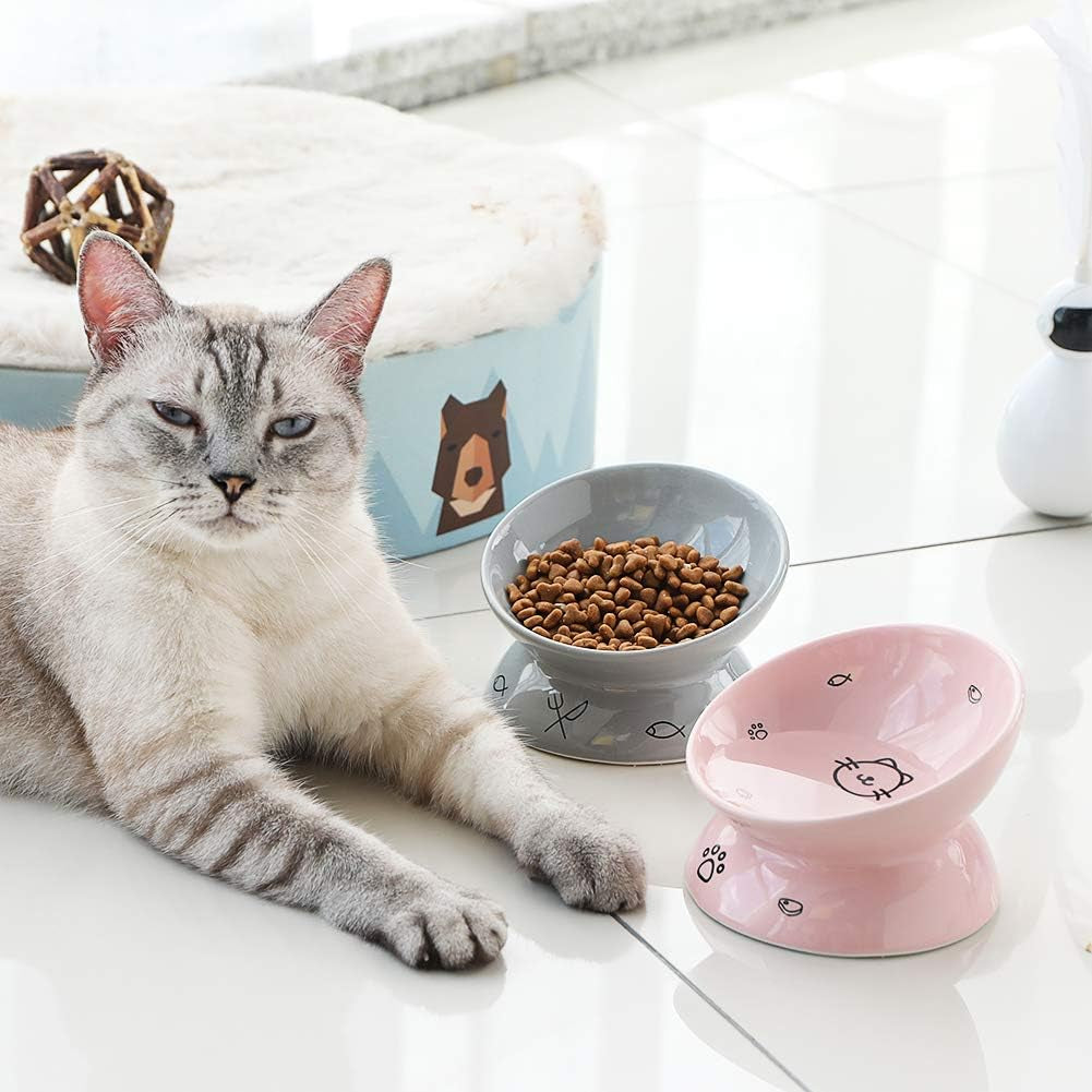 Elevated Ceramic Cat Bowls - Slanted Design for Food and Water, Porcelain Pet Feeder with Backflow Prevention, Grey