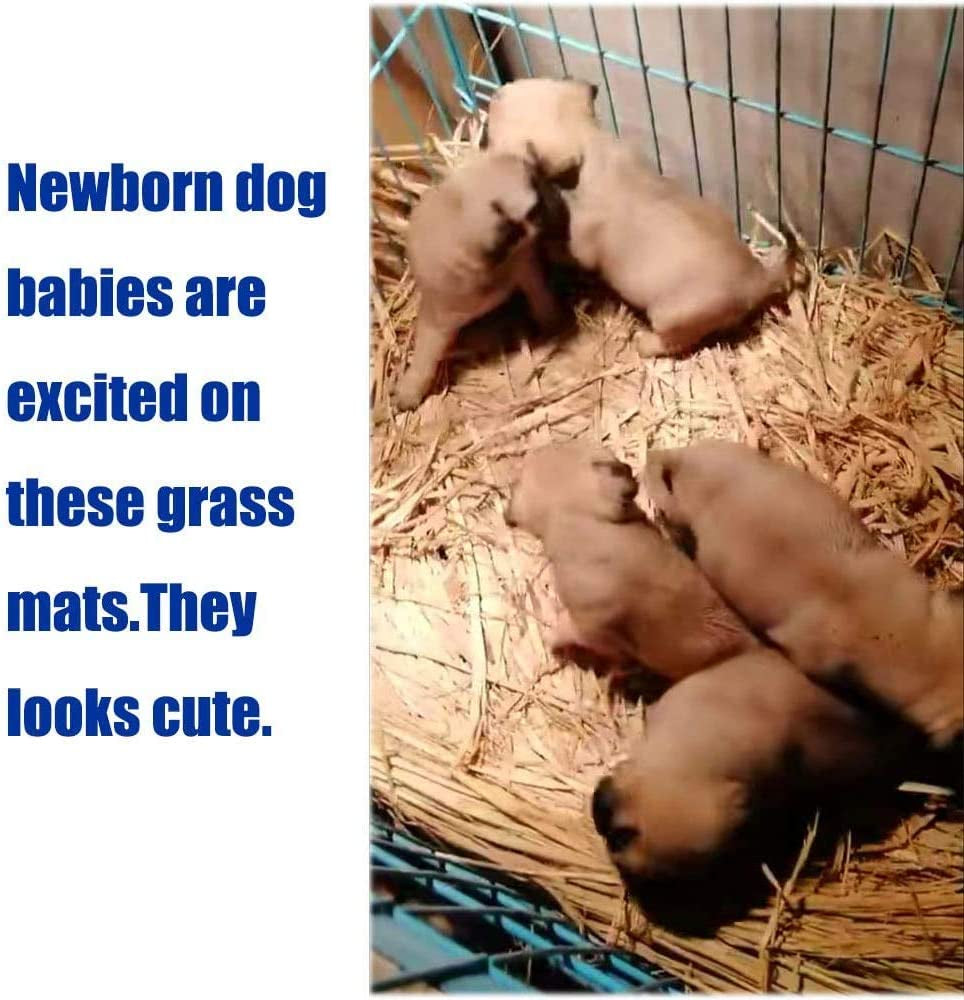 Grass Mat Set for Small Animals - 12PCS Woven Chew Toys and Bedding for Rabbits, Guinea Pigs, Chinchillas, Squirrels, Hamsters, Cats, and Dogs