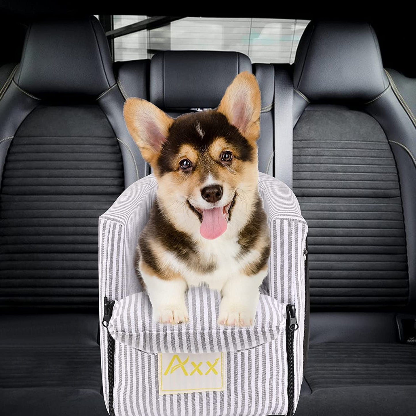 Pet Car Seat for Small to Medium Dogs and Cats - Booster Bed with Storage Pocket, Safety Leash, and Removable Washable Cover (Stripe)