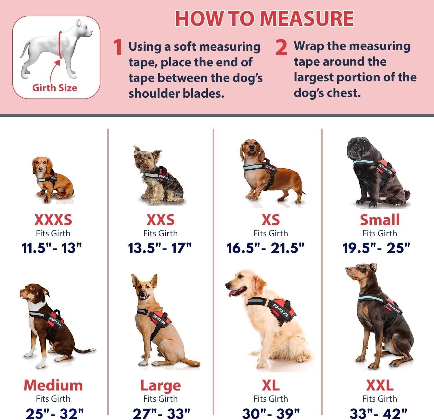Professional Service Dog Vest and Leash Set - Adjustable Harnesses (XXS to XXL) with Reflective Patch and Breathable Mesh Design (Red, Small)