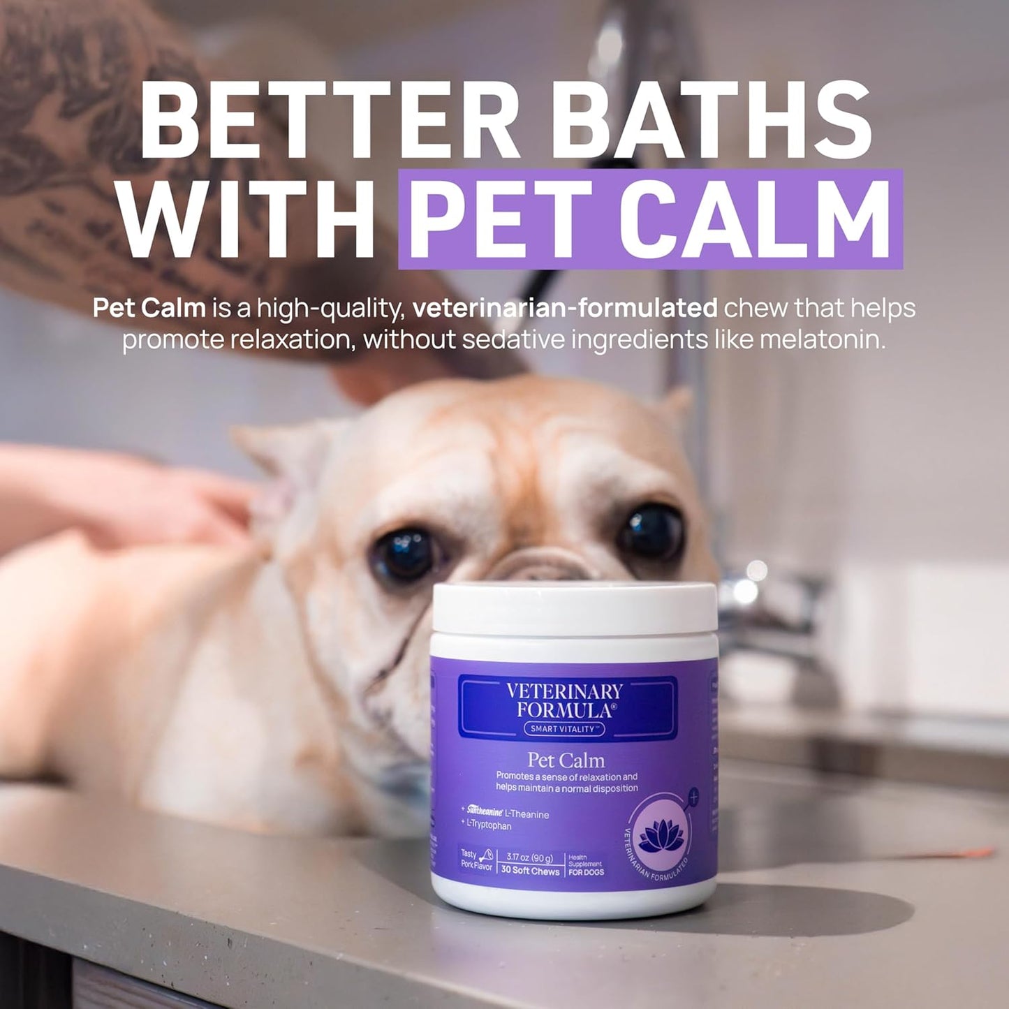 Clinical Care Antiseptic and Antifungal Medicated Shampoo for Dogs and Cats, 16 Fl Oz – Soothes Scaly, Oily, Red Skin – Paraben, Dye, and Soap-Free (Single Pack)