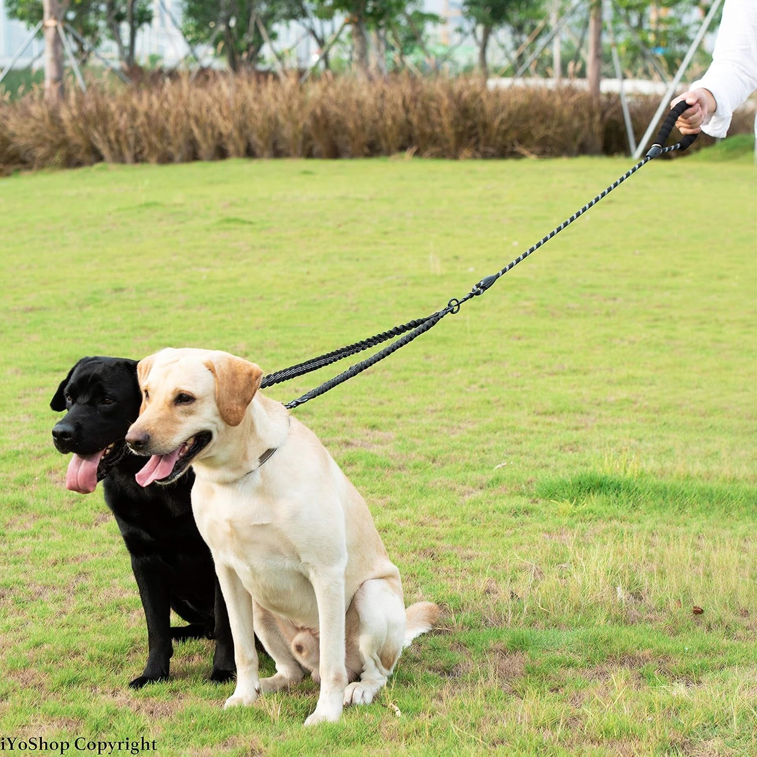 Dual Dog Leash with 360° Swivel and Shock Absorbing Bungee for Tangle-Free Walking of Two Dogs (Large, 25-150 lbs, Black)