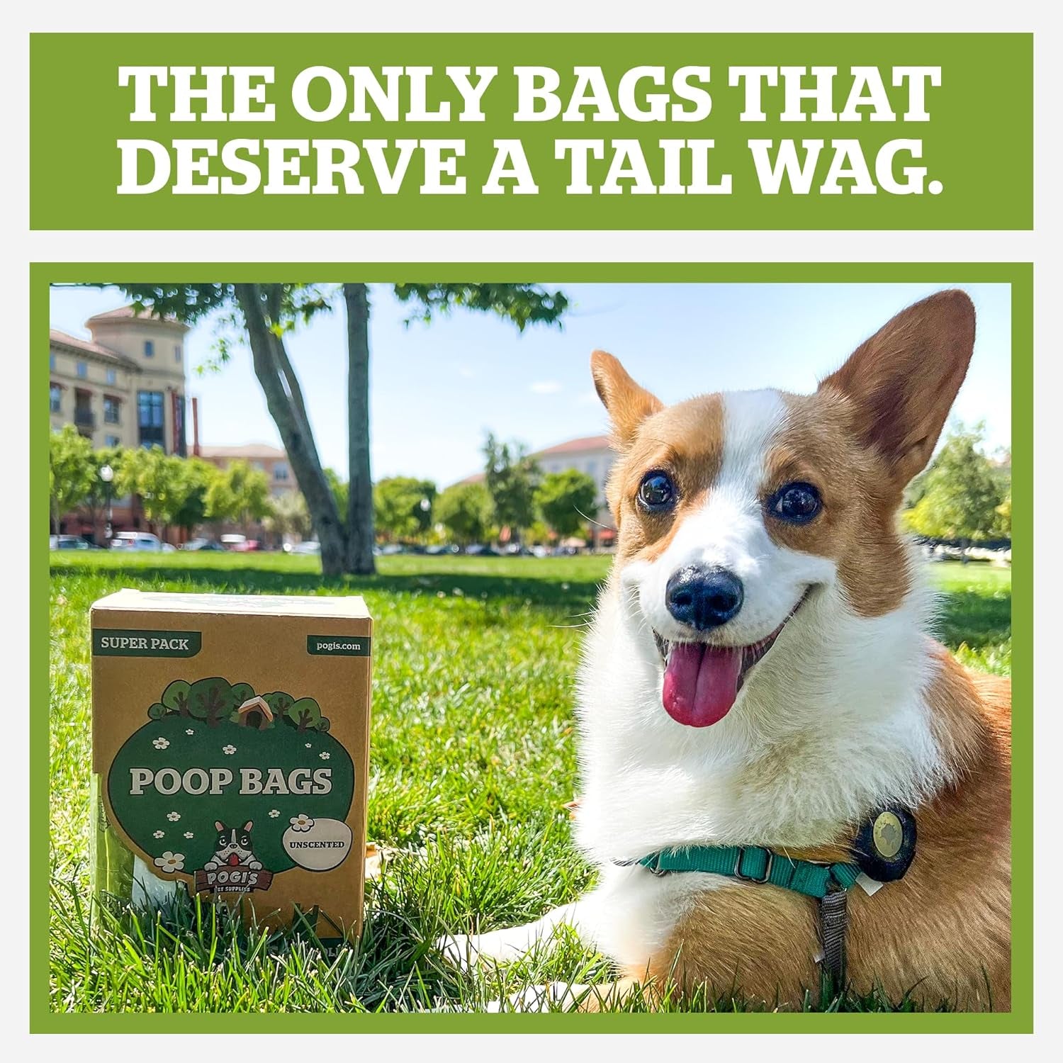 Pogi's Extra-Thick, Leak-Proof Dog Waste Bags with Handles – Unscented, Large, 900 Count