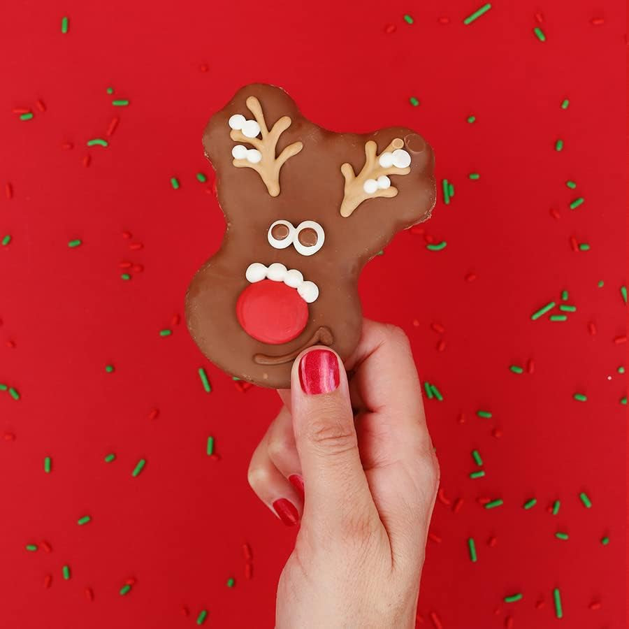 Gourmet Dog Treat Box | Artisan Hand-Decorated Dog Cookies | Premium Gift Box Featuring Locally Sourced Ingredients (Christmas Eve Edition)