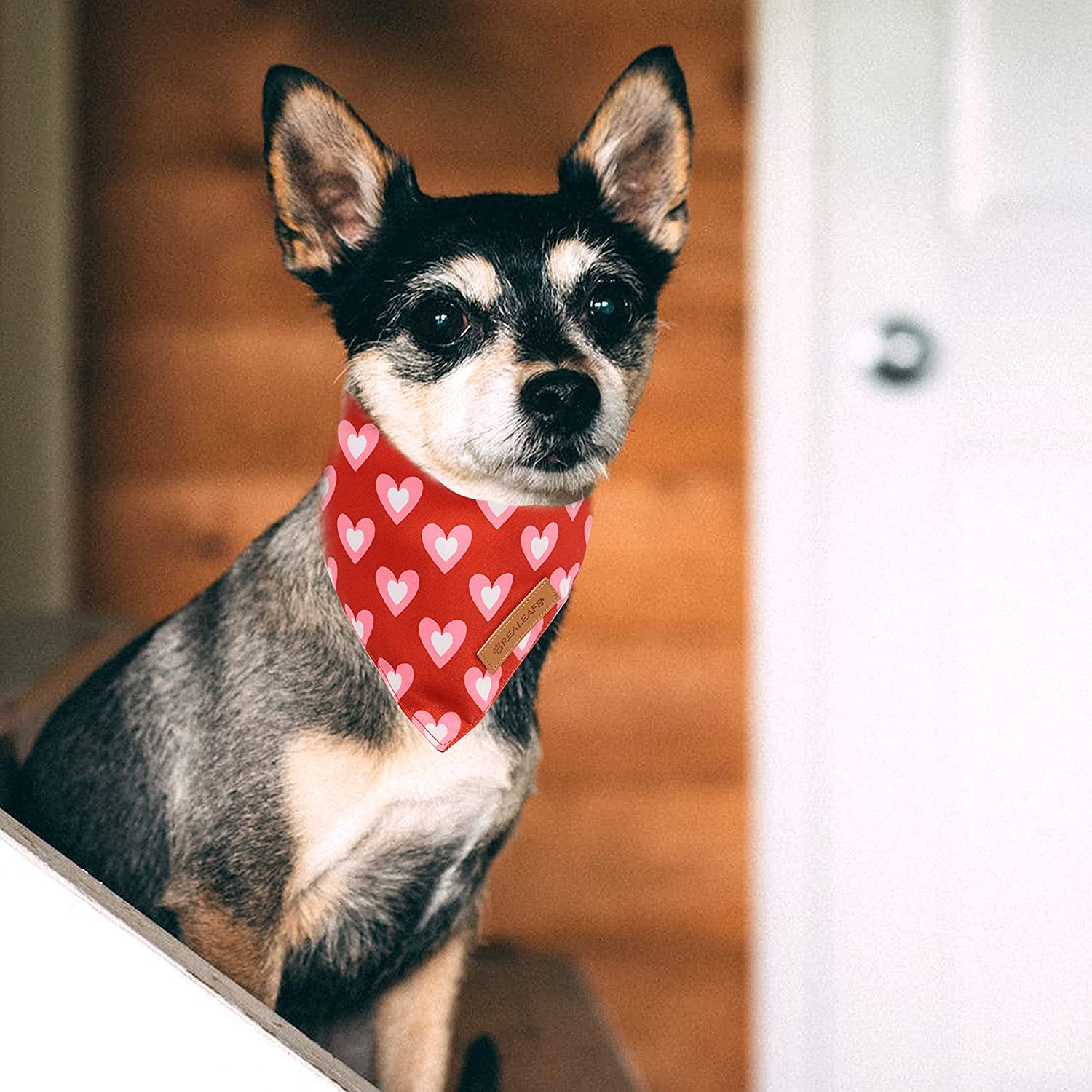 Love Dog Bandanas - 2 Pack Reversible Triangle Scarves for Medium and Large Dogs, Ideal for Mother's Day and Valentine's Day, Made with Premium Durable Fabric
