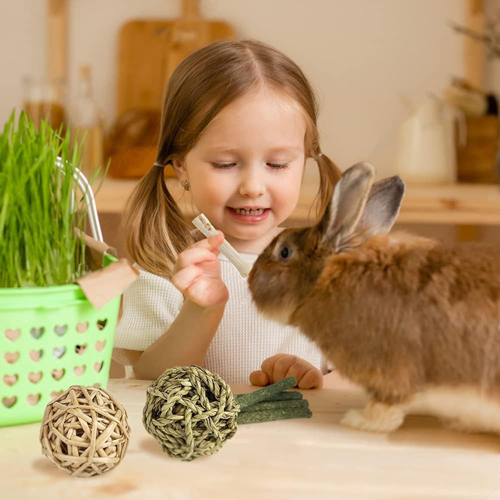 Natural Timothy Hay Chew Toys for Rabbits, Guinea Pigs, Hamsters, Chinchillas, and Rats - Handmade Apple Wood Sticks for Dental Health and Treats