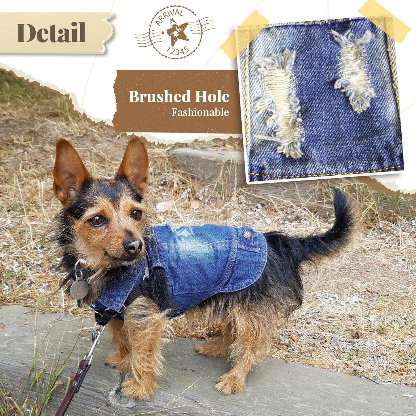 Denim Jean Jacket for Small Dogs and Cats - Stylish Pet Vest for French Bulldogs and Other Breeds (Blue, XS - Suggested Weight 2-4 lbs)