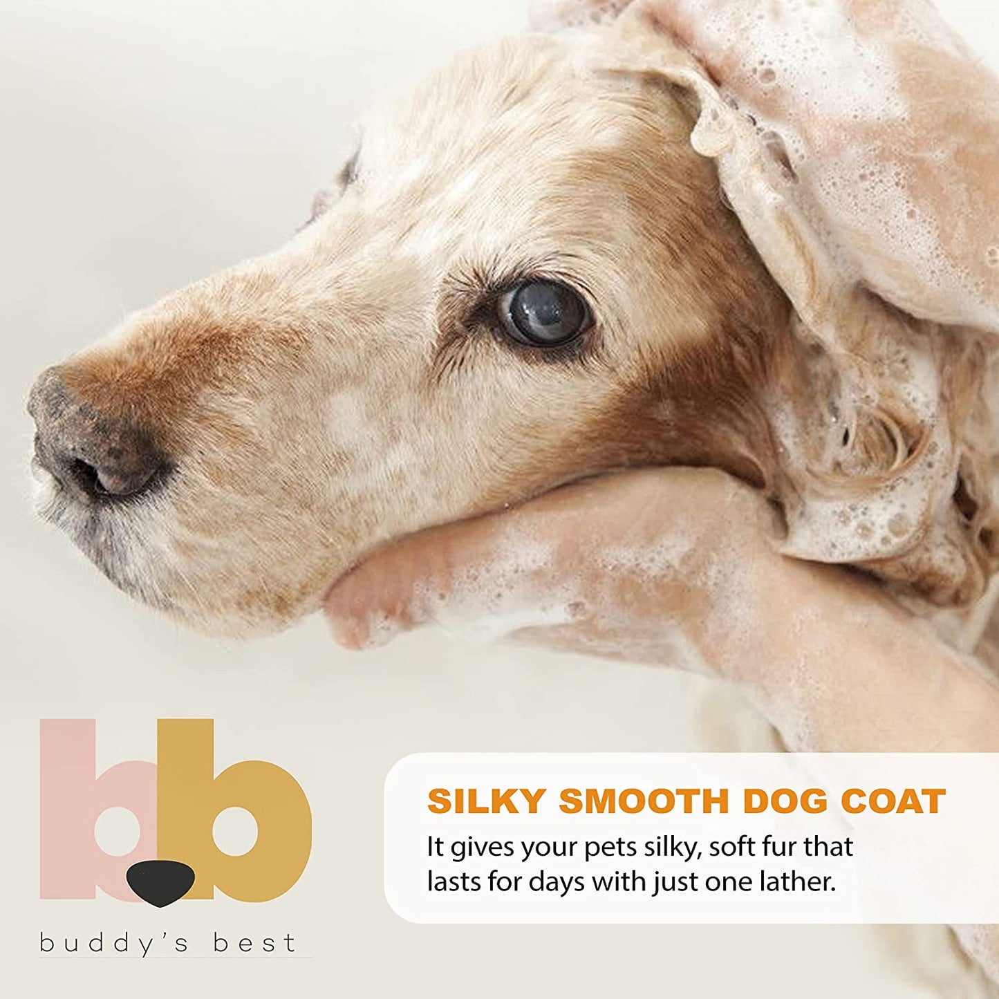 Oatmeal Dog Shampoo and Conditioner for Sensitive Skin - Moisturizing Puppy Wash with Coconut Vanilla Bean Scent, 32 Oz