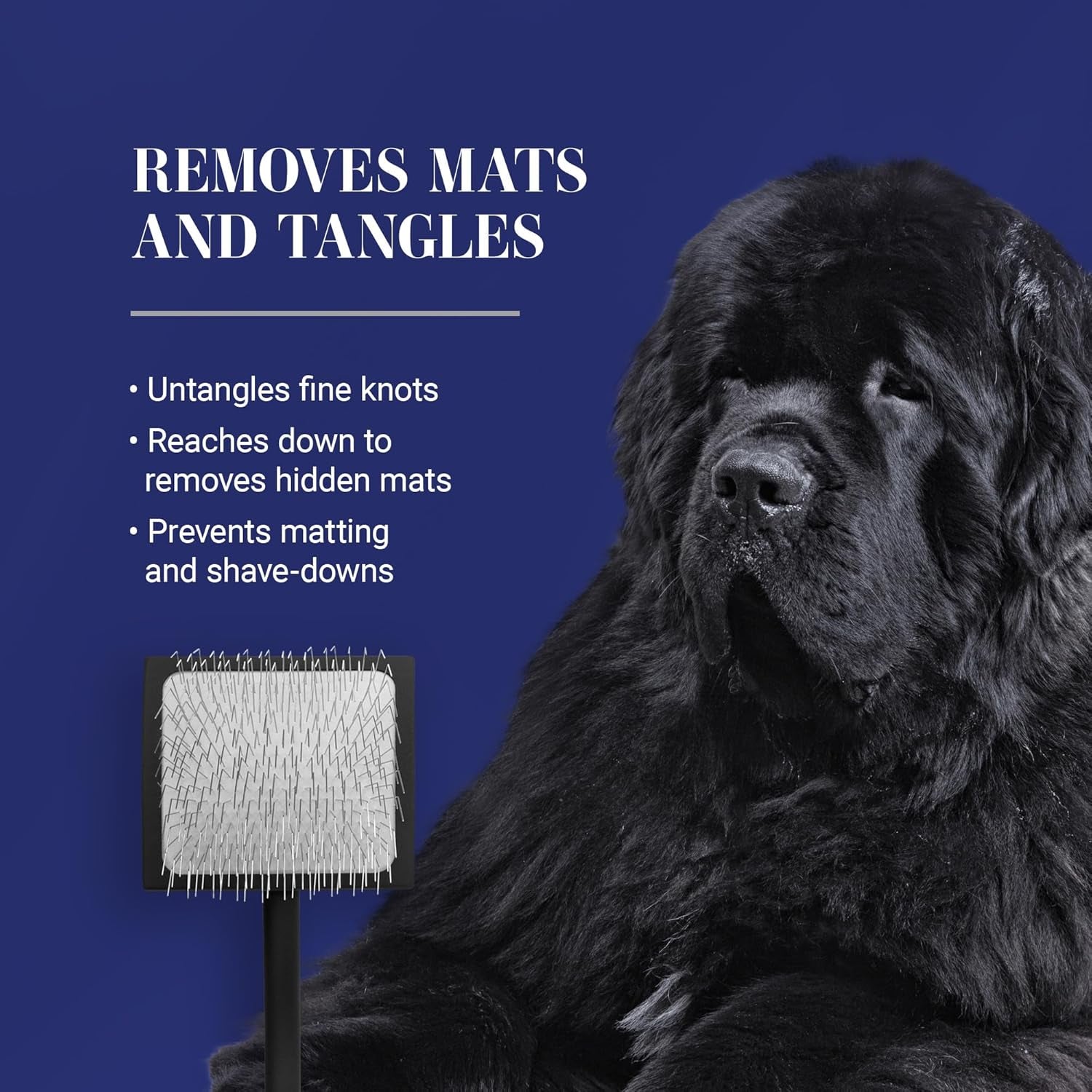 Big K Dog Slicker Brush for Goldendoodles, Labradoodles, and Poodles - Professional Grooming Tool for Fluffing, Detangling, and Styling, Large Size, Black