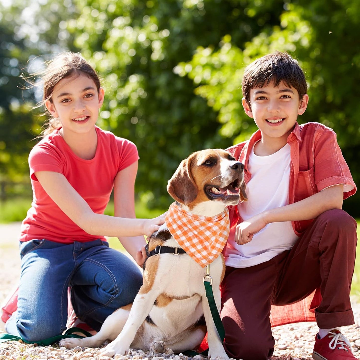 12-Piece Adjustable Plaid Dog Bandana Set - Triangle Bibs for Small to Medium Pets (Buffalo Plaid Design)