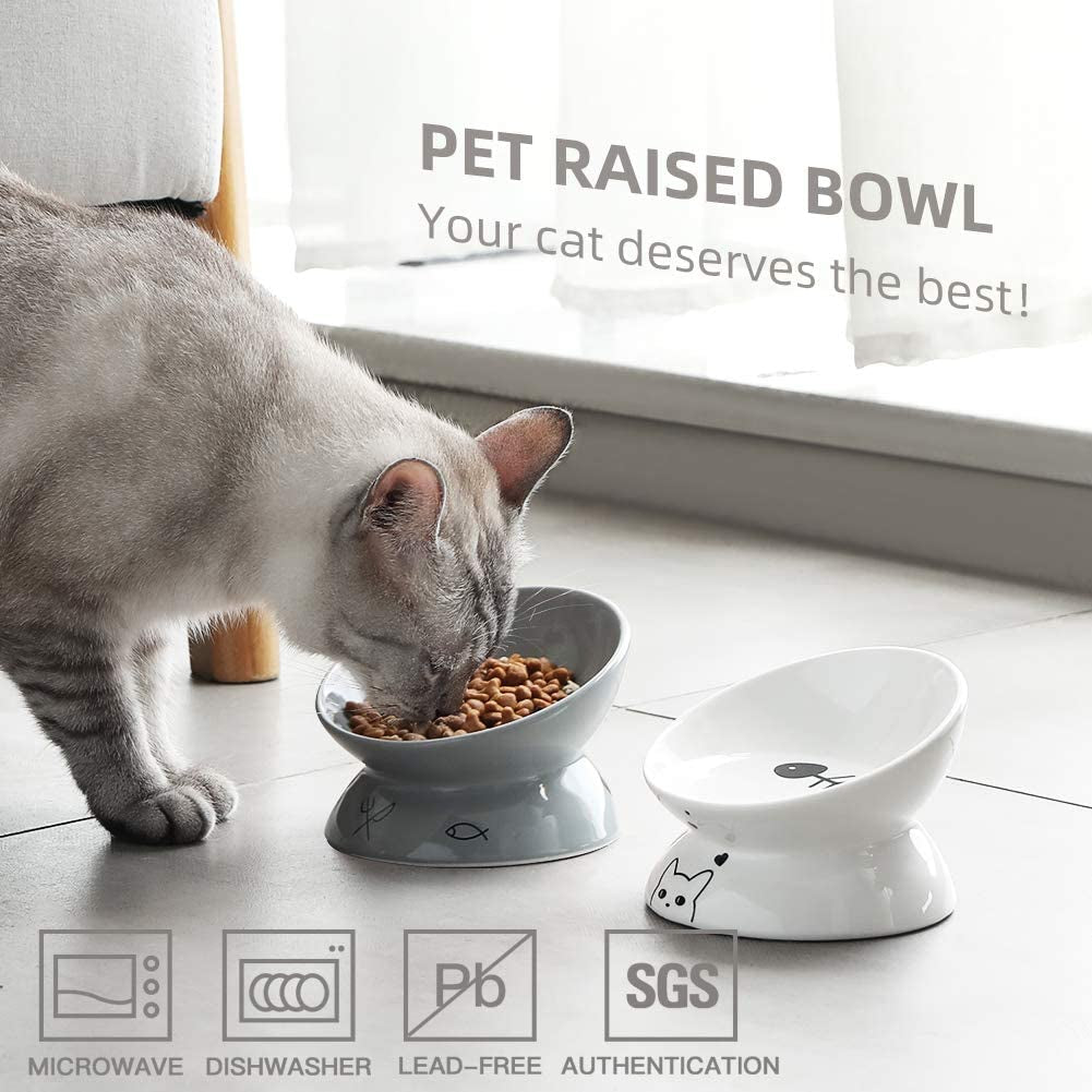 Elevated Ceramic Cat Bowls - Slanted Design for Food and Water, Porcelain Pet Feeder with Backflow Prevention, Grey