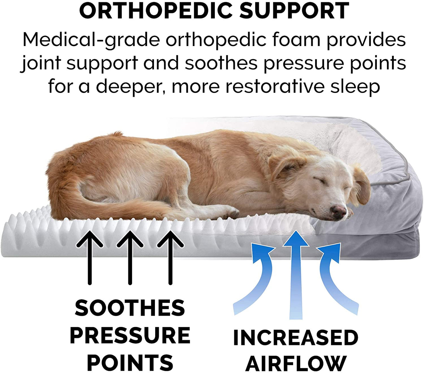 Orthopedic Foam Dog Bed with Washable Velvet Cover - Granite Gray, Large (for dogs up to 55 lbs)