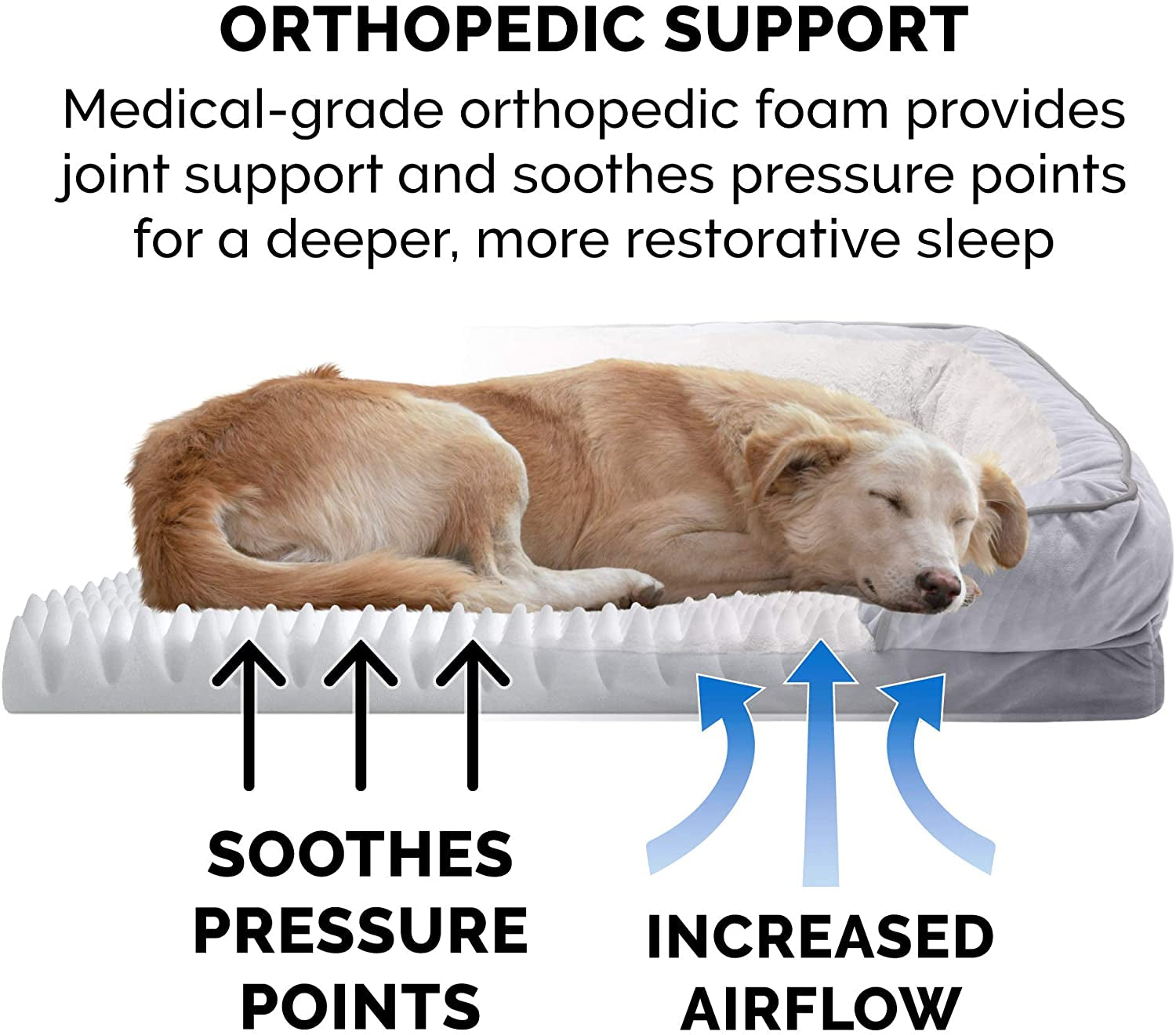 Orthopedic Foam Dog Bed with Washable Velvet Cover - Granite Gray, Large (for dogs up to 55 lbs)